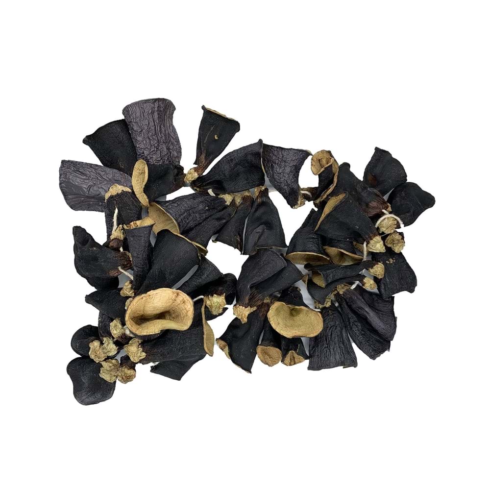 Nazilli Patlıcan Kurusu Sap 1 Dizi