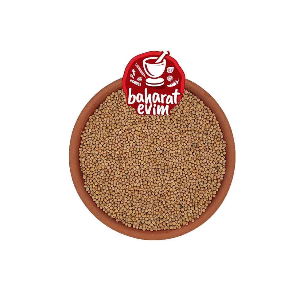 Hardal Tohumu Sarı 1 Kg