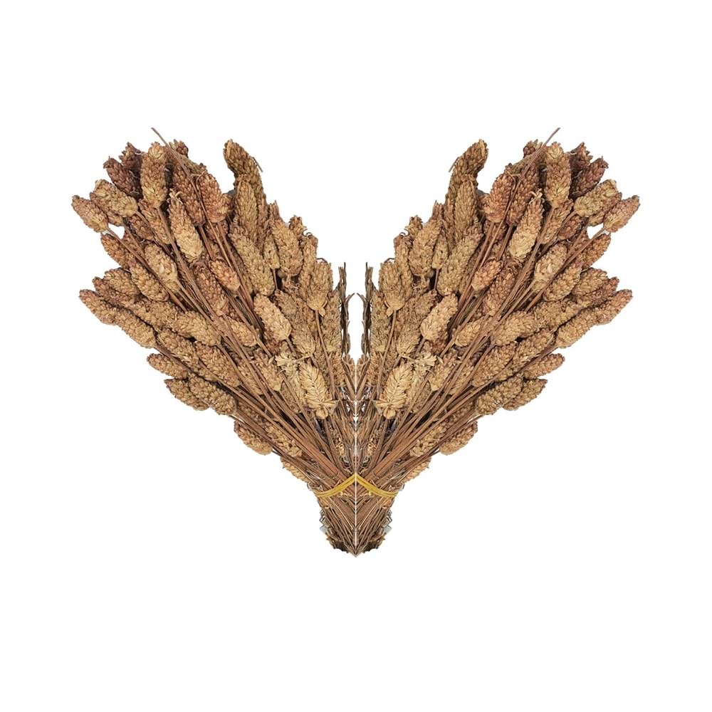 Karabaş Demet Paket 1 Kg