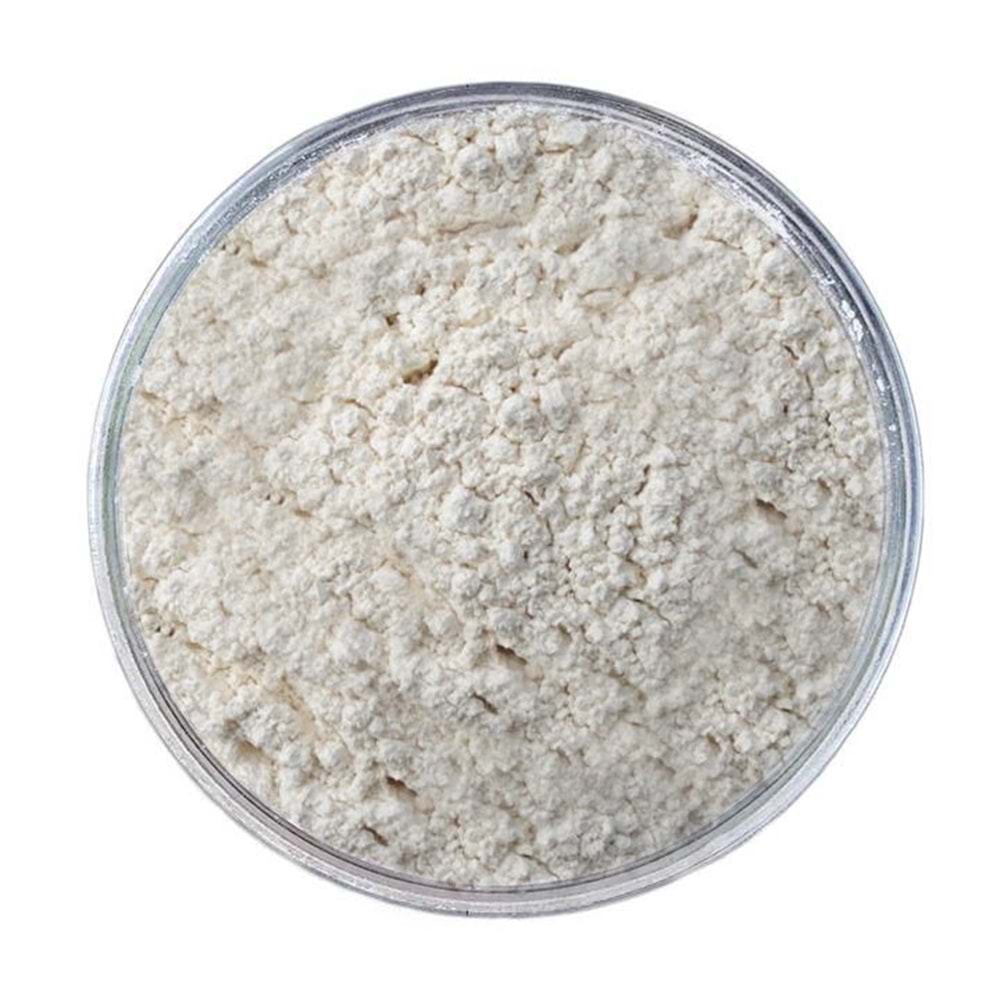 Soğan Toz 1 Kg
