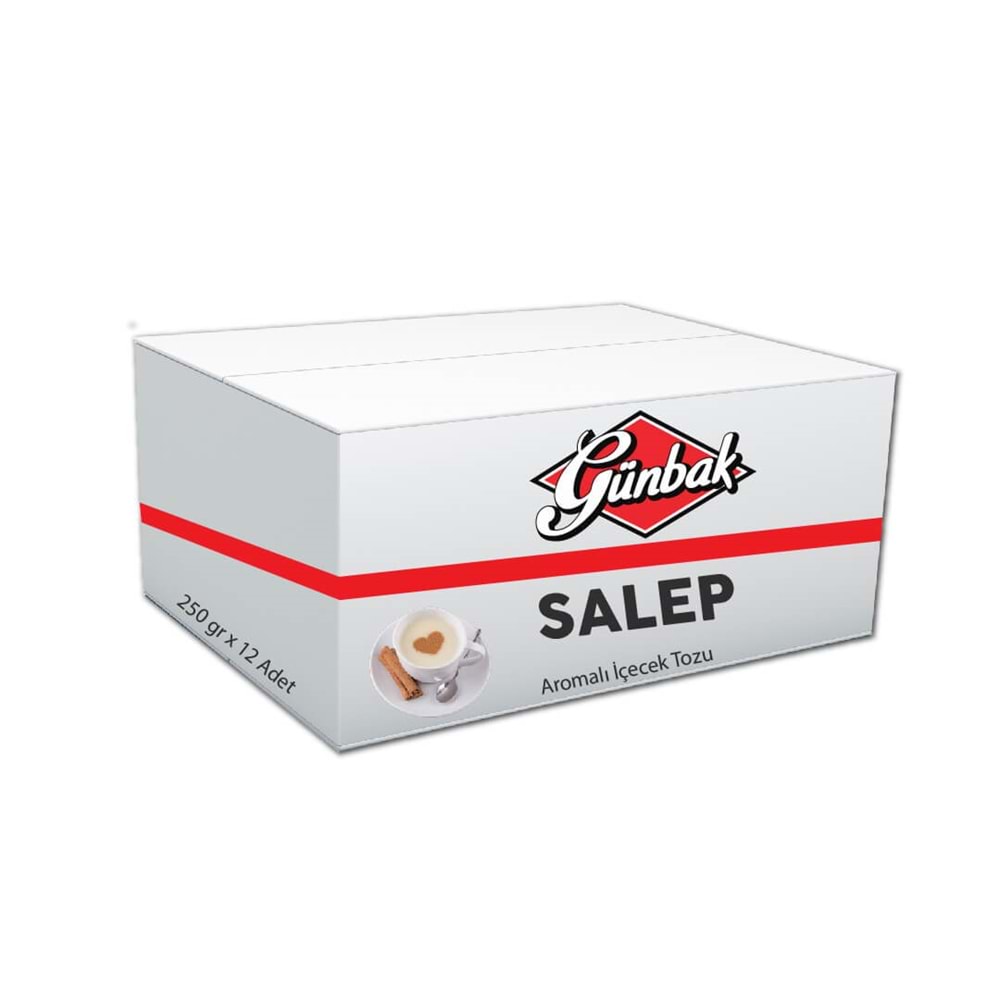 Günbak Salep Aromalı İçecek Tozu 250 Gr Kutu 12 Adet