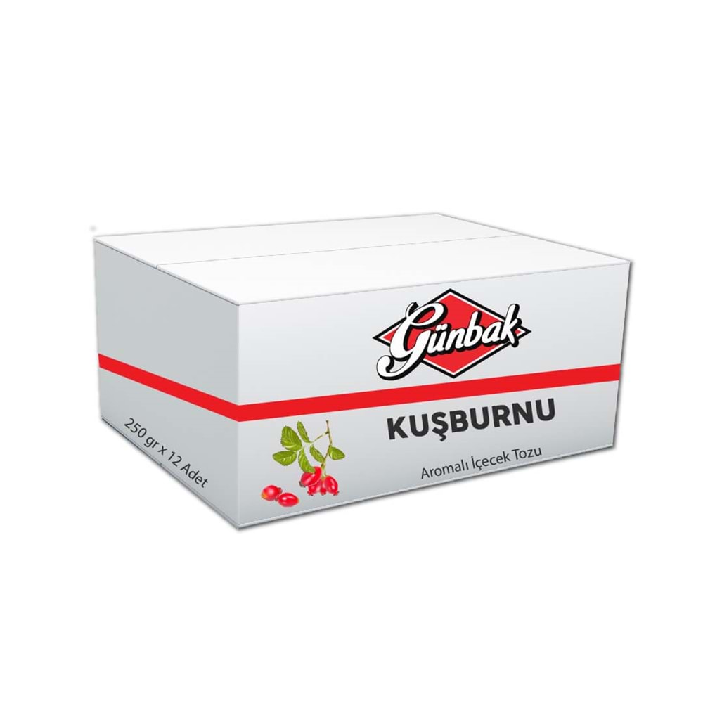 Günbak Kuşburnu Aromalı İçecek Tozu 250 Gr Kutu 12 Adet