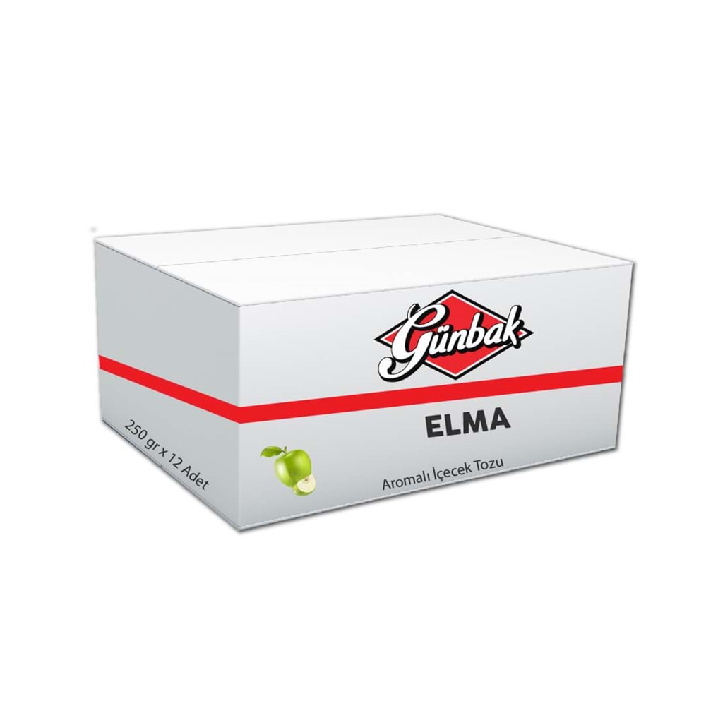 Günbak Elma Aromalı İçecek Tozu 250 Gr Kutu 12 Adet