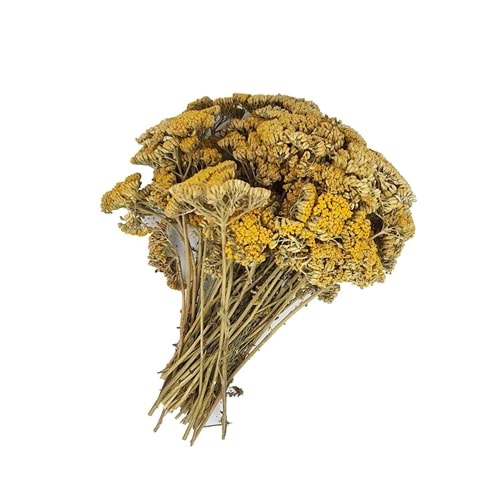 Civan Perçemi Demet 1 Kg