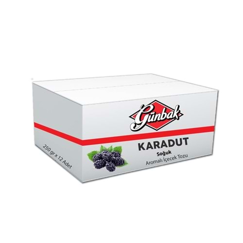 Günbak Karadut Aromalı Soğuk İçecek Tozu 450 Gr Kutu 12 Adet