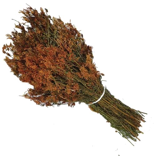 Kantaron Otu Demet 1 Bağ